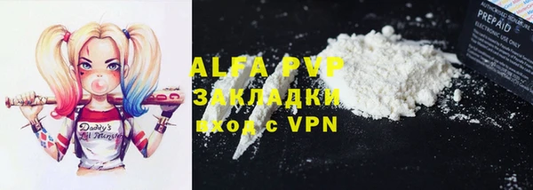 PSILOCYBIN Кодинск
