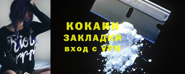 PSILOCYBIN Кодинск