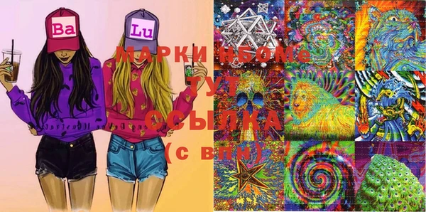PSILOCYBIN Кодинск