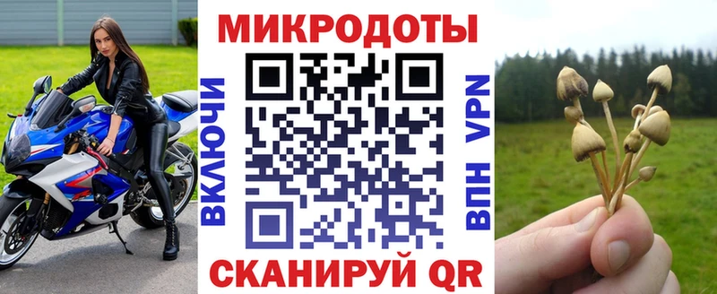 Галлюциногенные грибы Cubensis Купить Татарск